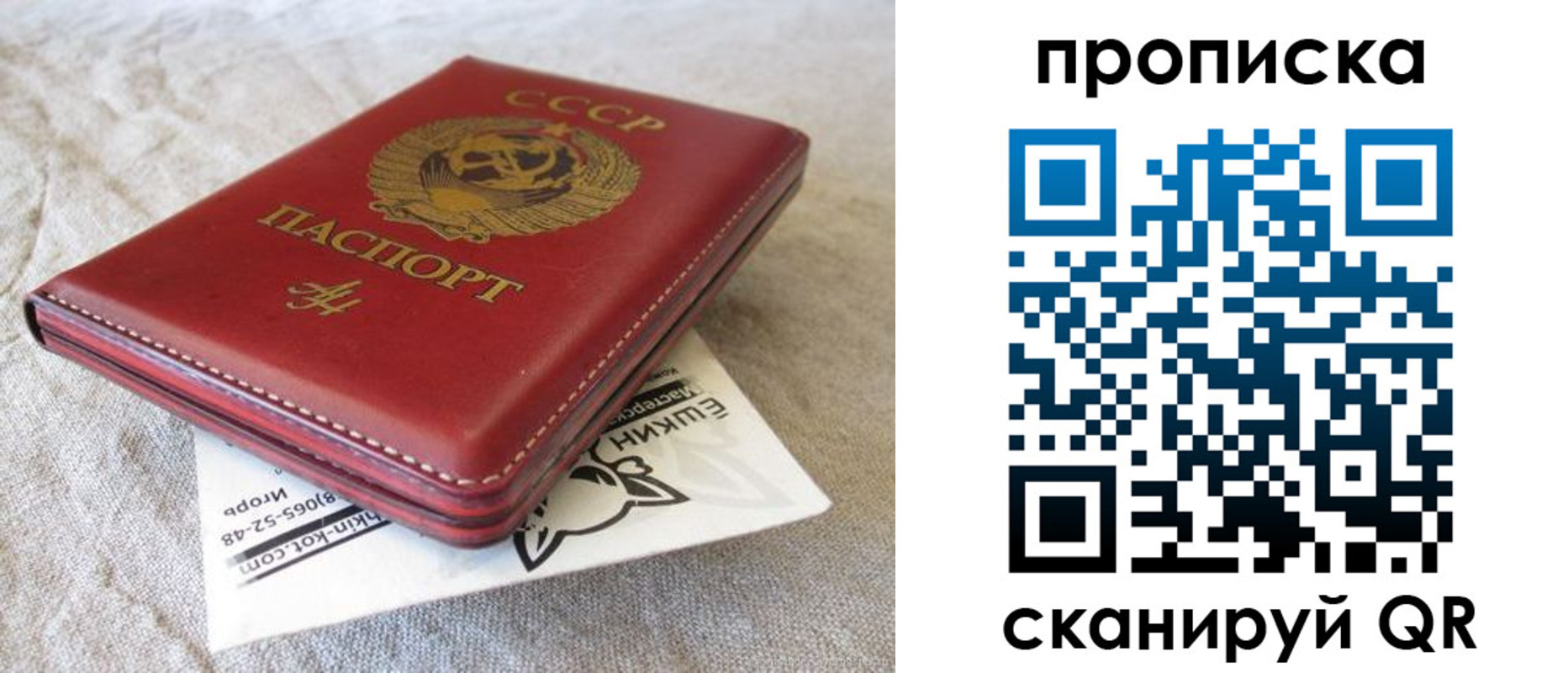 прописка для школы в Курчатове